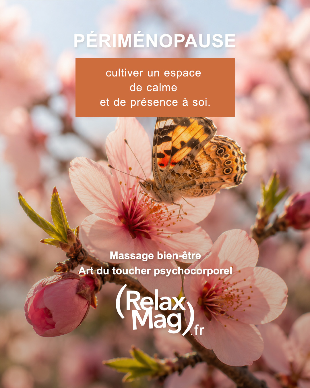Périménopause - Relaxmag